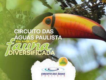 Circuito das Águas Paulista encanta com fauna diversificada