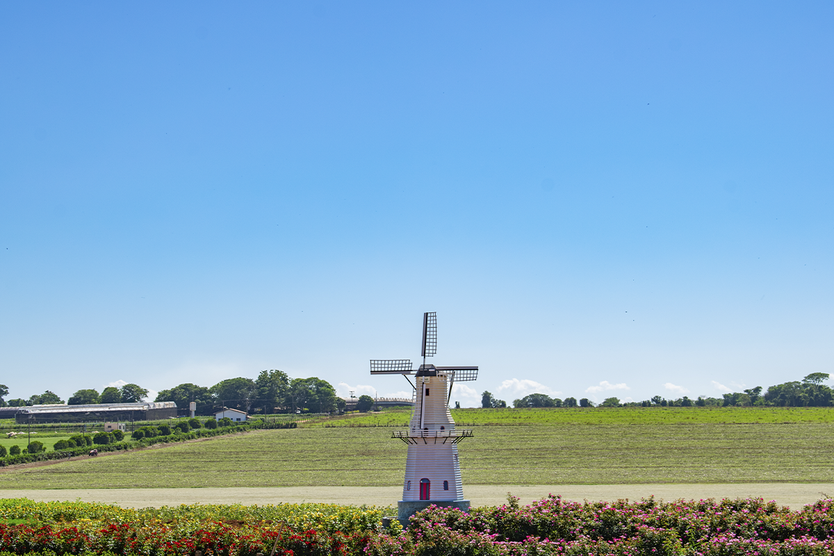 Entenda porque o Circuito das Águas Paulista no destino mais completo do Brasil