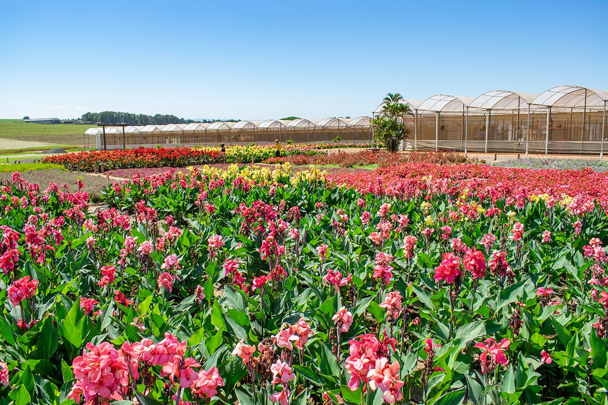 Cicap aposta na experiência para consolidar parcerias em 2023