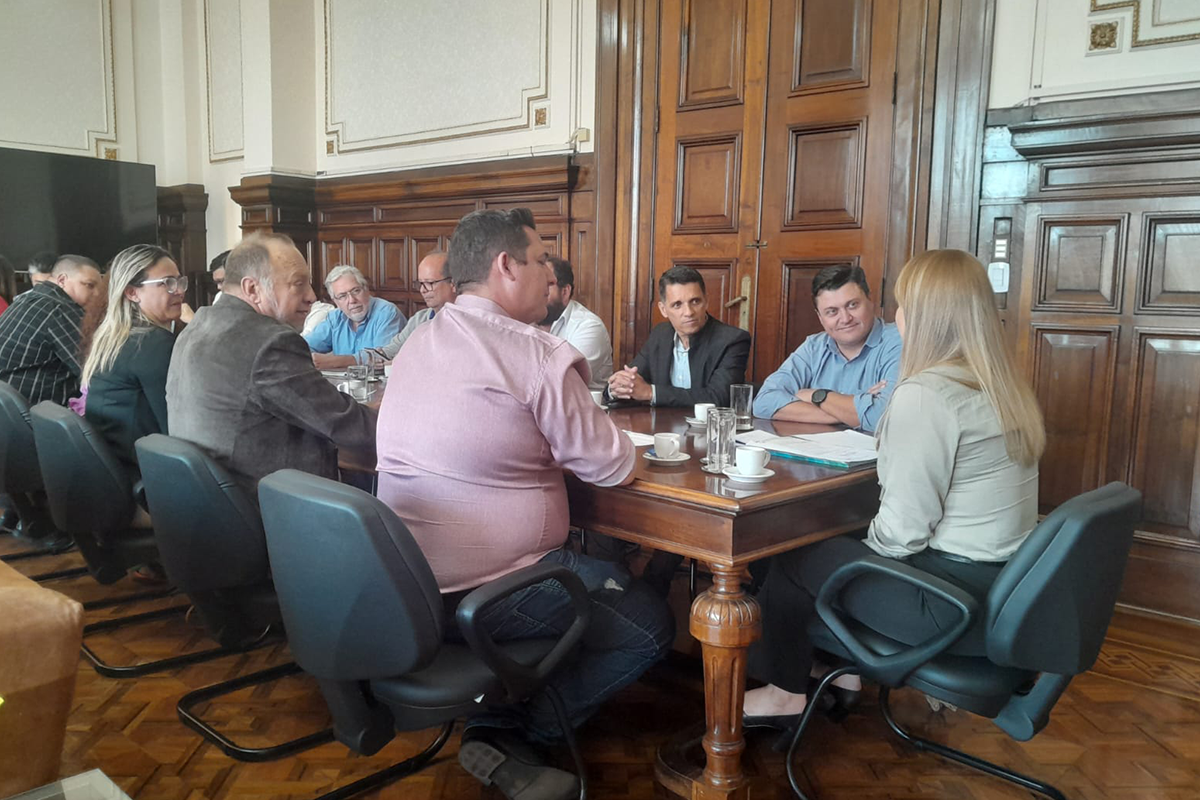 Câmara de Cultura do CICAP tem reunião estratégica com o Estado