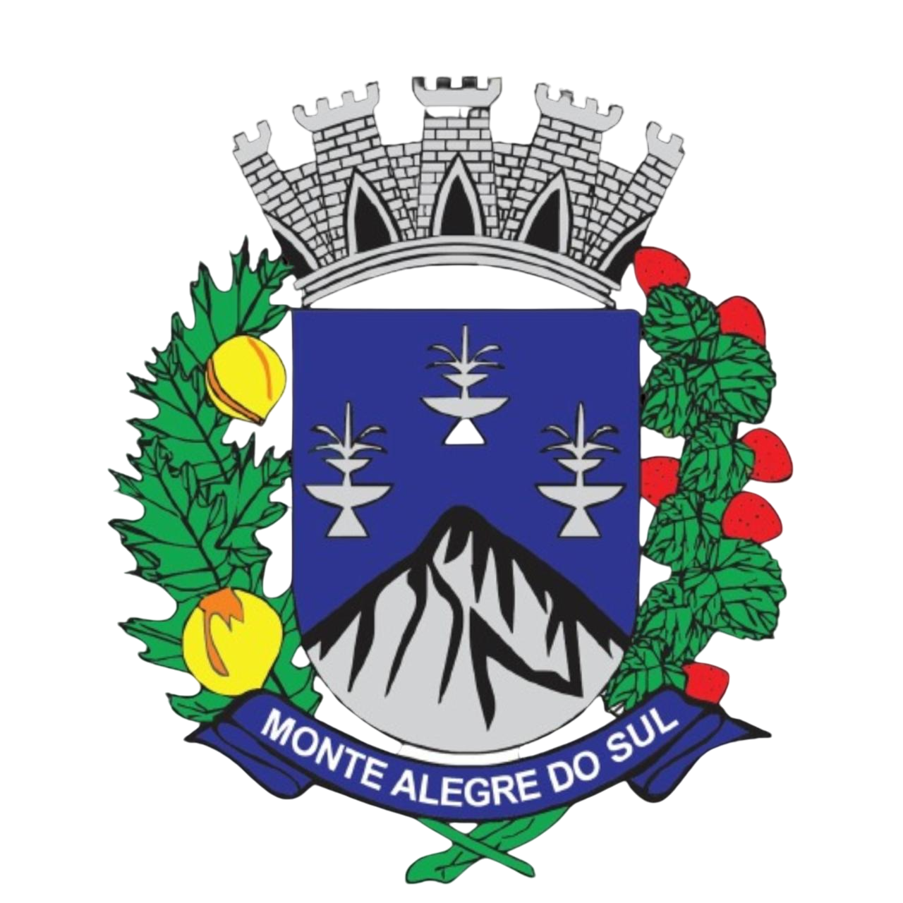 Brasão Monte Alegre do Sul