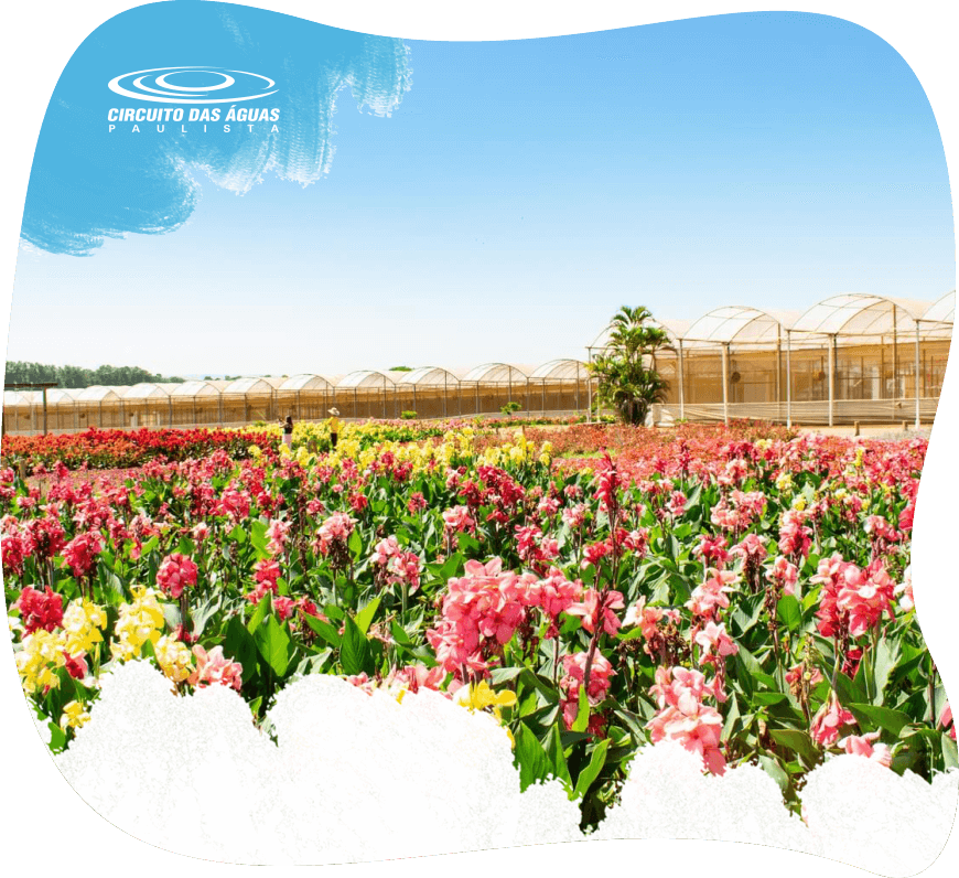 Águas de Lindóia - Imagem 4