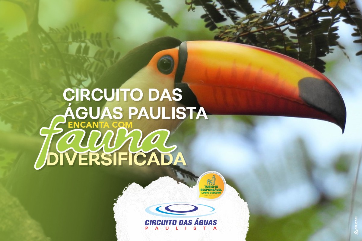 Circuito das Águas Paulista encanta com fauna diversificada